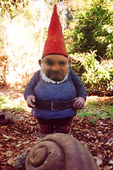 bishop_gnome.jpg